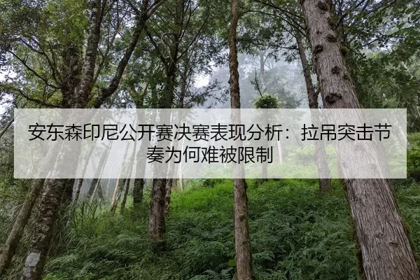 an-dong-sen-yin-ni-gong-kai-sai-jue-sai-biao-xian-fen-xi-la-diao-tu-ji-jie-zou-wei-he-nan-bei-xian-zhi-1-737.jpg