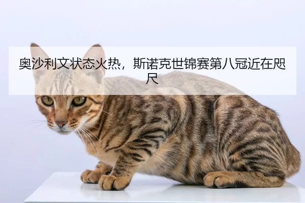 ao-sha-li-wen-zhuang-tai-huo-re-si-nuo-ke-shi-jin-sai-di-ba-guan-jin-zai-zhi-chi-2-182.jpg