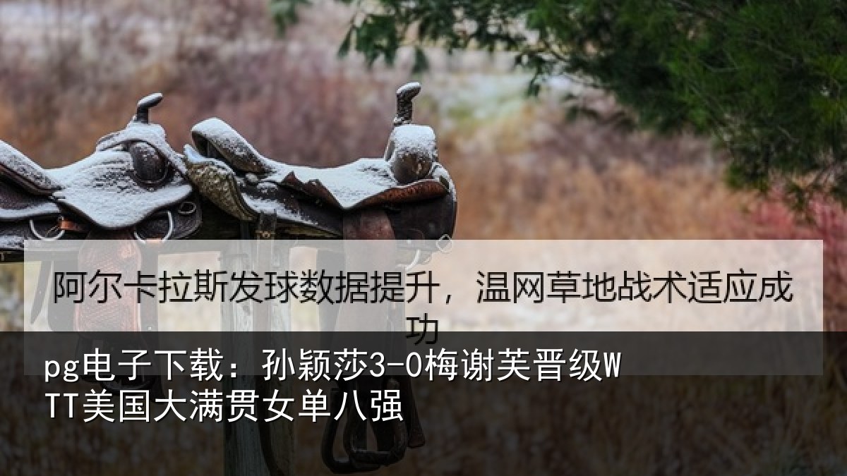 pg电子下载:孙颖相关情况大满贯女单八强