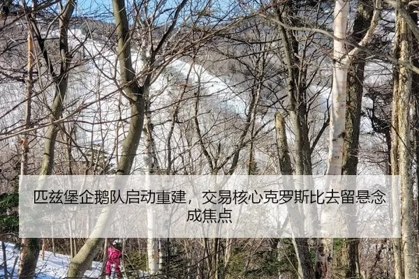 匹兹堡企鹅队启动重建，交易核心克罗斯比去留悬念成焦点
